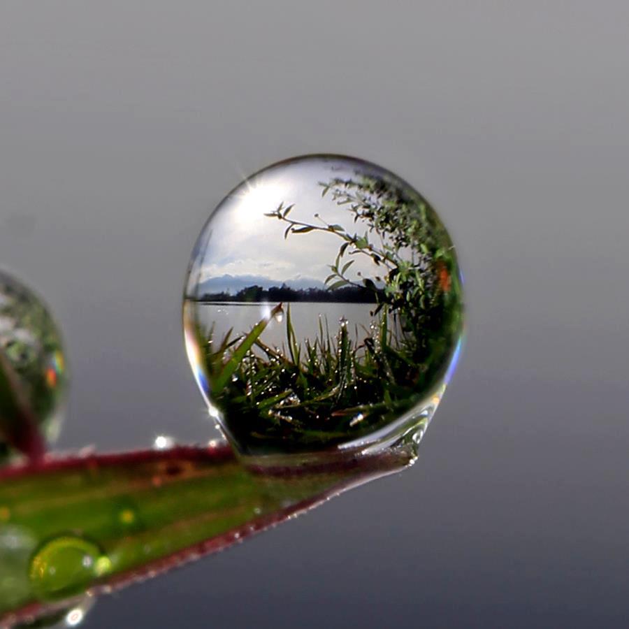 https://photo.stackexchange.com/questions/39349/how-to-shoot-extreme-macro-shot-of-an-image-formed-on-a-water-droplet